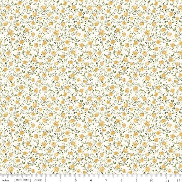 Daisies in Honey