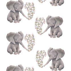 Baby Elephant in White