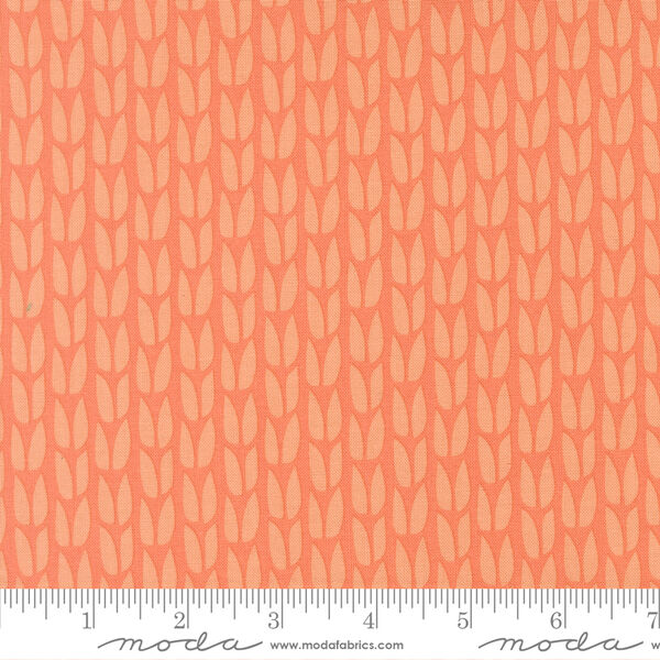 Sprout in Coral