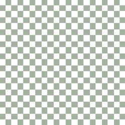 Spring Checks in Soft Green
