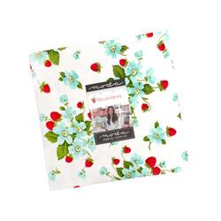 Bloomsberry 10" Square Pack