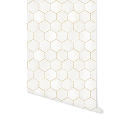 Hex in Alabaster