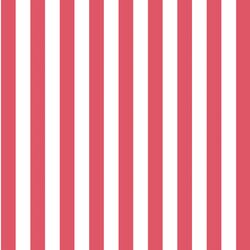 Candy Stripe in Passion