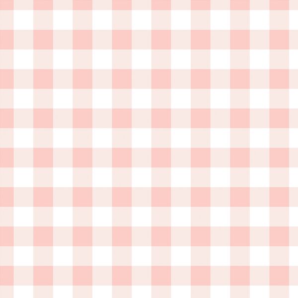 Gingham in Pink