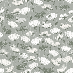Poppies in Moss