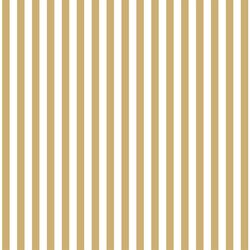 Dress Stripe in Golden Canyon