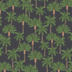 Prehistoric Forest in Slate