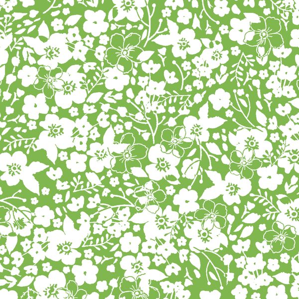 Forget Me Not in Greenery