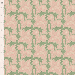 Stella in Sage