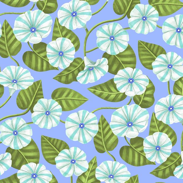 Morning Glories in Garden Periwinkle
