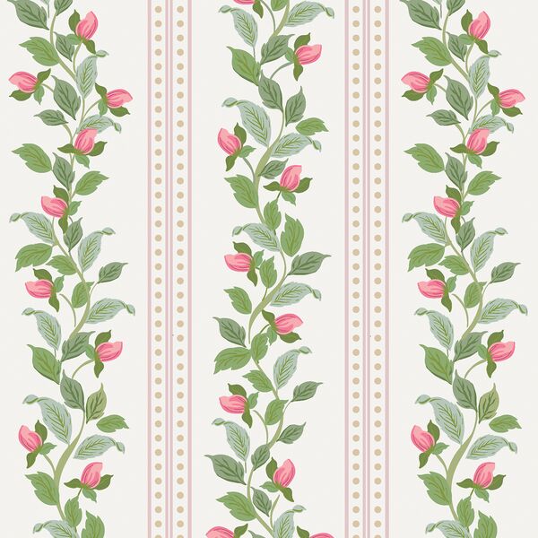 Rose Stripe in Alabaster