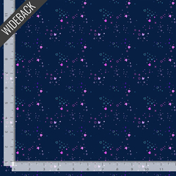 Kitty Litter Wideback in Space