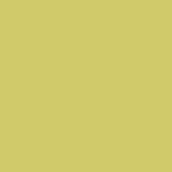 Solid in Pale Yellow