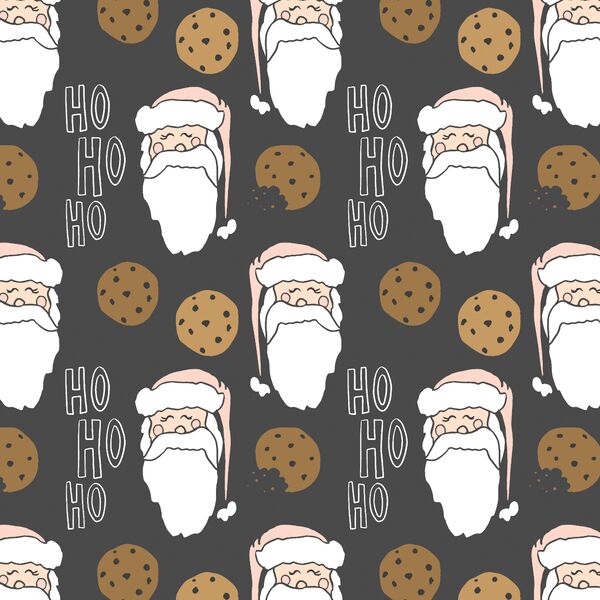 A Cookie For Santa in Delight
