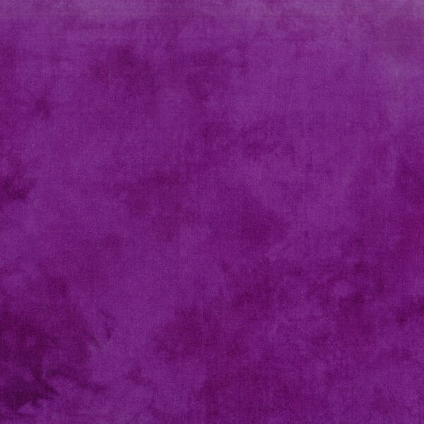 Palette in Concord Grape