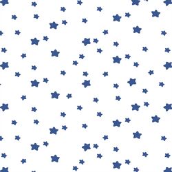 Star Light in Blue Jay on White