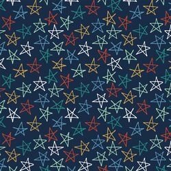 Stars in Navy