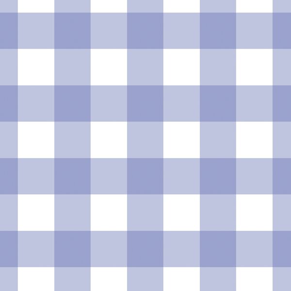 Large Gingham in Periwinkle