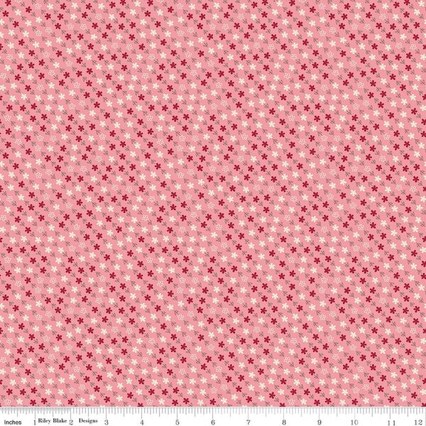 Generations in Coral