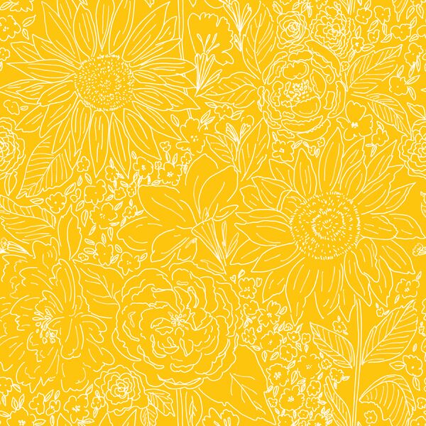 Paperie in Golden Sun