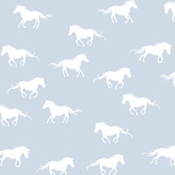 Horse Silhouette in Cirrus