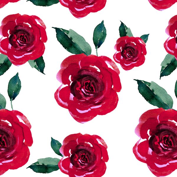 Blooming Roses in Winter