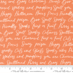 Happy Halloween in Pumpkin