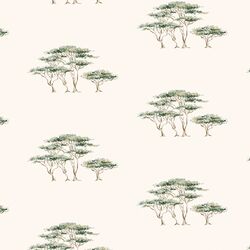Under the Acacias in Adventure