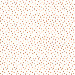 Small Spots in Pumpkin on White