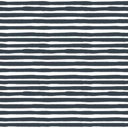 Painted Stripe in Midnight Sky