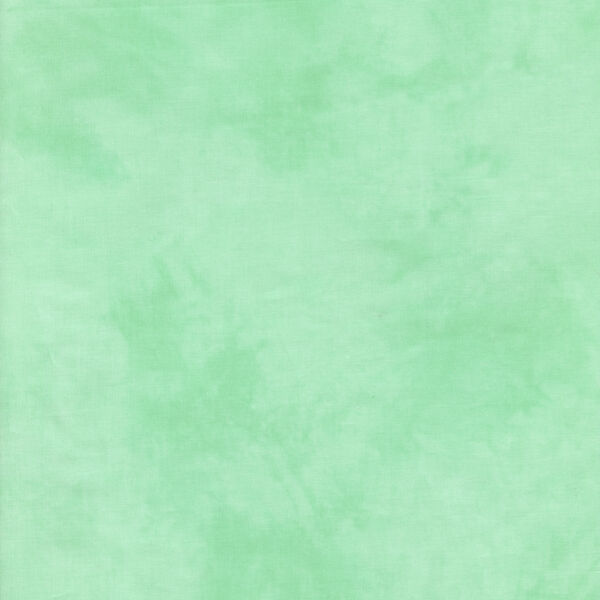 Palette in Minty Green