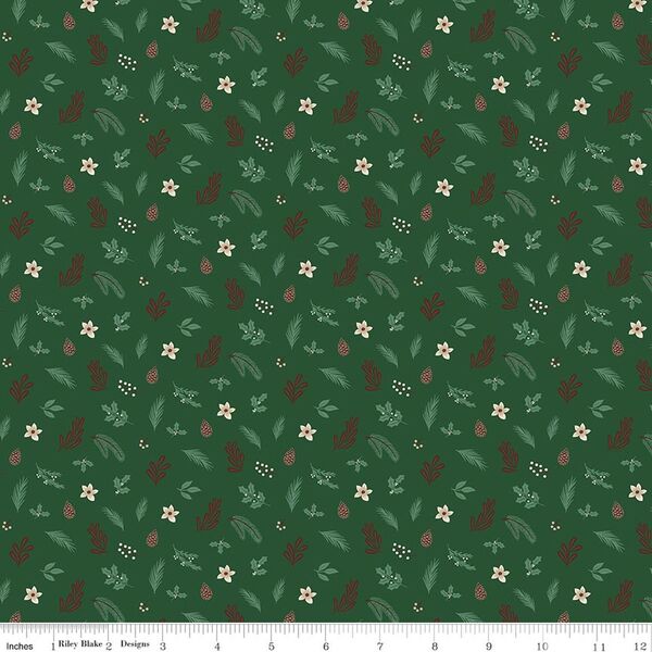 Foliage in Forest