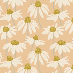 Coneflower in Summer Peach