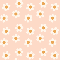 Daisy in Blush