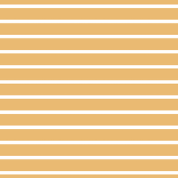 Stripe in Golden Afternoon