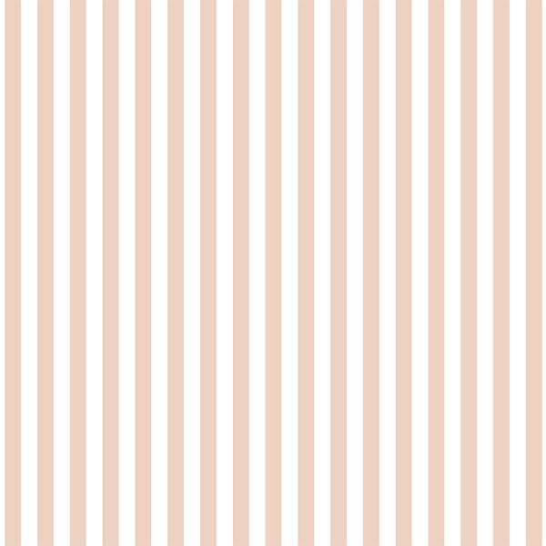 Dress Stripe in Shell