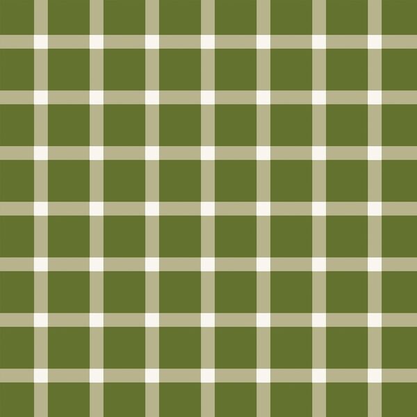 Plaid in Winter Forest