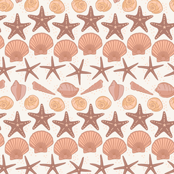 Shell Collection in Atlantic