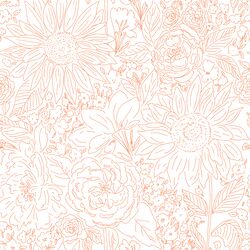 Paperie in Sweet Coral on White