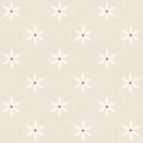 Star Flowers in Cream