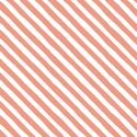 Rogue Stripe in Grapefruit