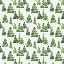 Little Pine Forest in Snow