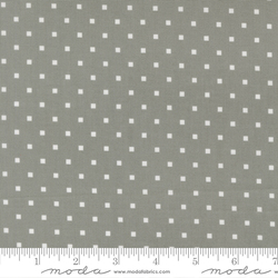 Cosmo Dot in Tabby