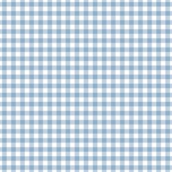 Western Gingham in Brook