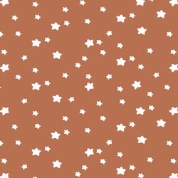 Star Light in Terracotta