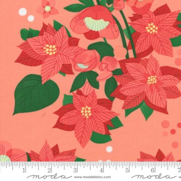 Poinsettia in Carnation
