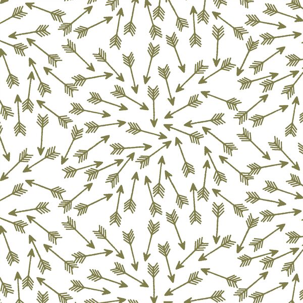 Arrows in Jungle on White