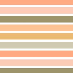 Splendid Stripe in Sunset