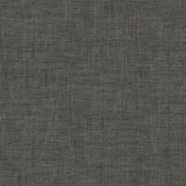 Textured Solid in Coal