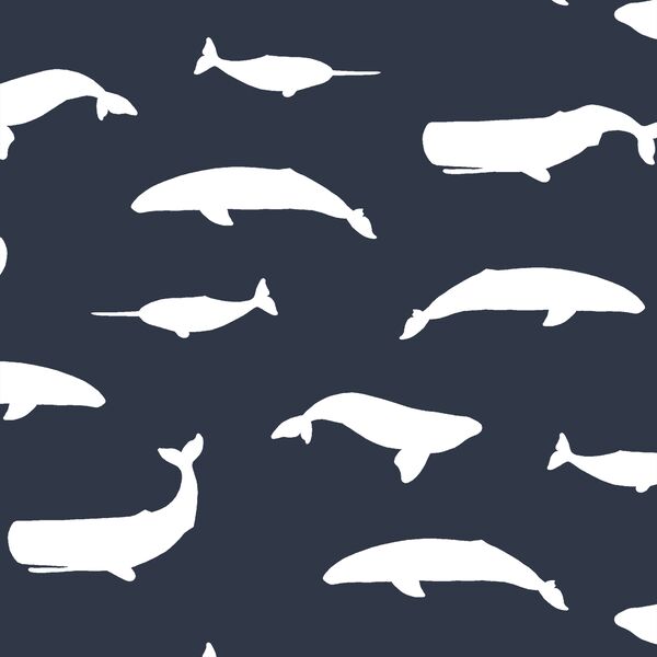Whale Silhouette in Eclipse